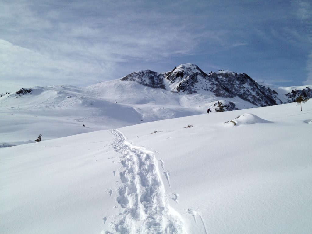 Schneeschuhwandern in Oberstaufen
