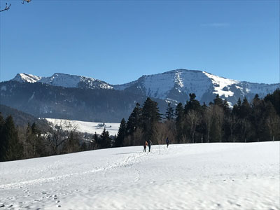 Blick auf die schneebedeckte Nagelfluhkette mit Hochgrat im Winter