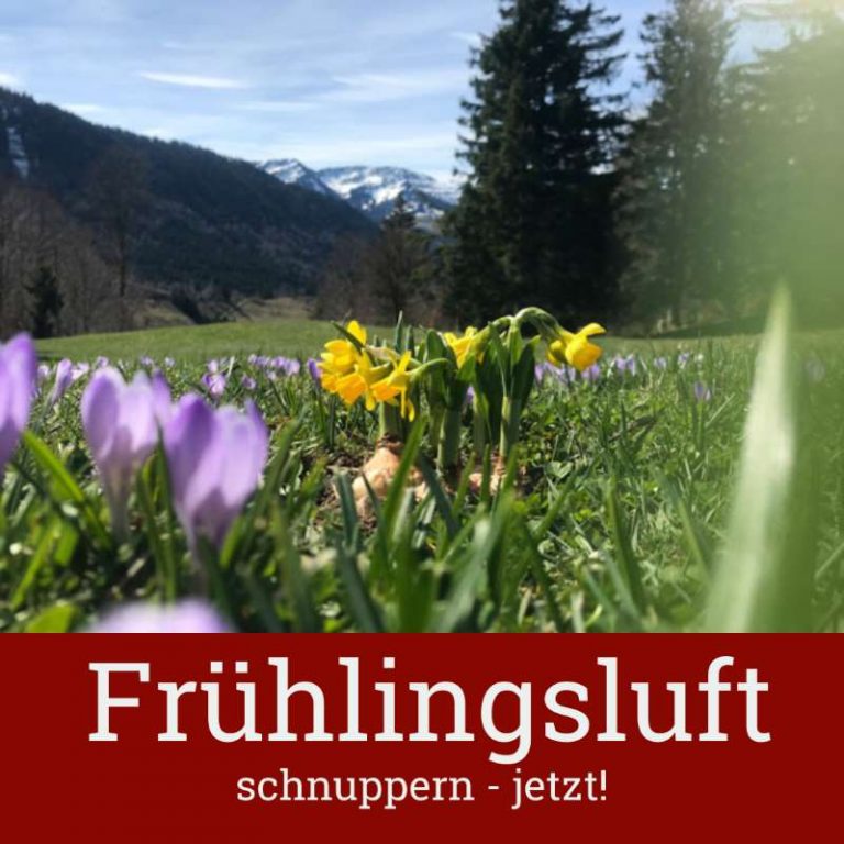 Teaser-Bild für Frühlingsangebote