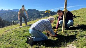 Wir pflanzen Bergahorne - Freiwilligenprojekt des Naturpark Nagelfluhkette im Oktober 2026